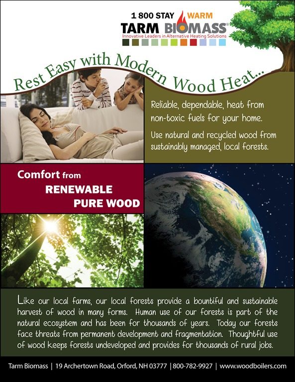 Carbon Enviromental poster