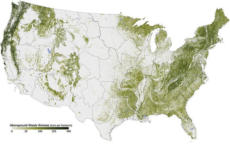 Map of Above Ground Woody Biomass