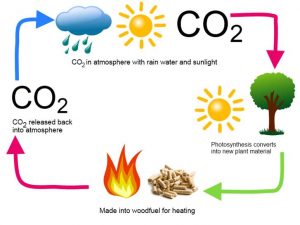 CO2 Image chart 