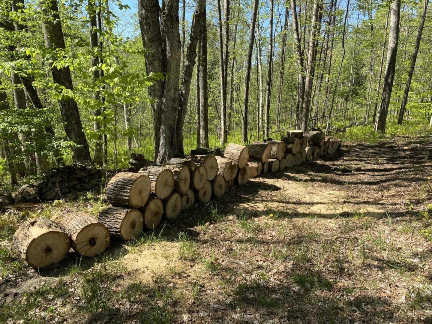 firewood story wood