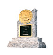 VESTA-Award-USA-icon